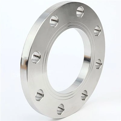 Hastelloy Alloy C276 DIN 2573 2576 2502 2503 Плоскі фланці для зварювання